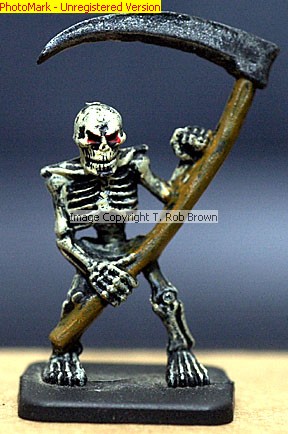 Warhammer Fantasy Skeleton