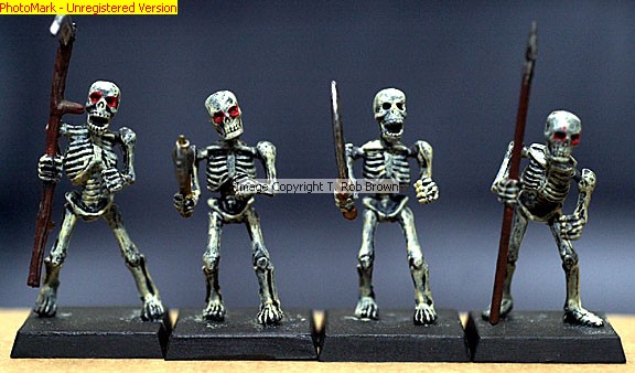 Warhammer Fantasy Skeletons